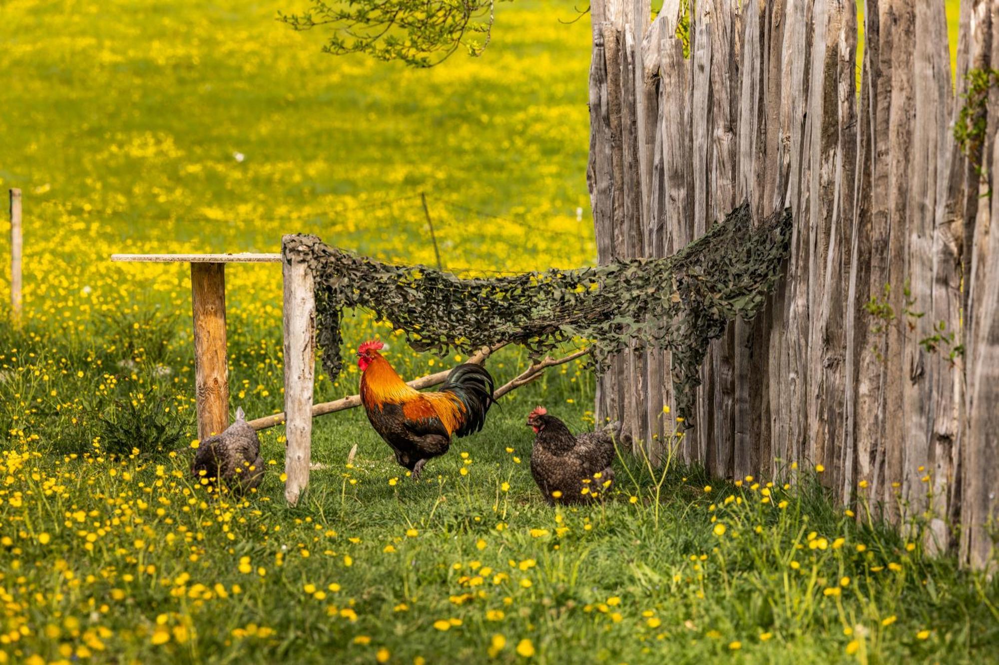 Ferienwohnungen Am Gablerhof باد ريشنهول المظهر الخارجي الصورة