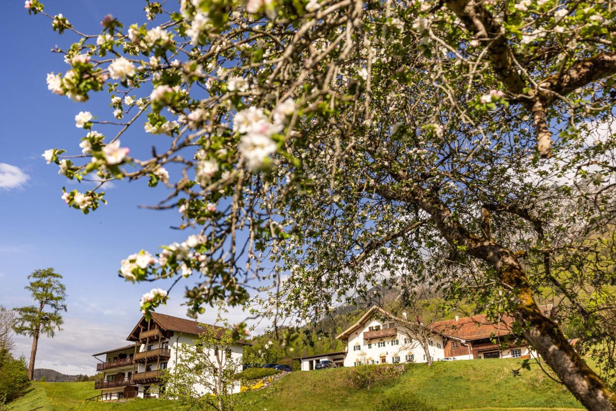 Ferienwohnungen Am Gablerhof باد ريشنهول المظهر الخارجي الصورة